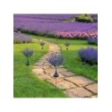 MiLagro EKO2529 lampka solarna Lavender