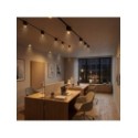 Magnetic Track 10mm Downlight 6W CCT 48V