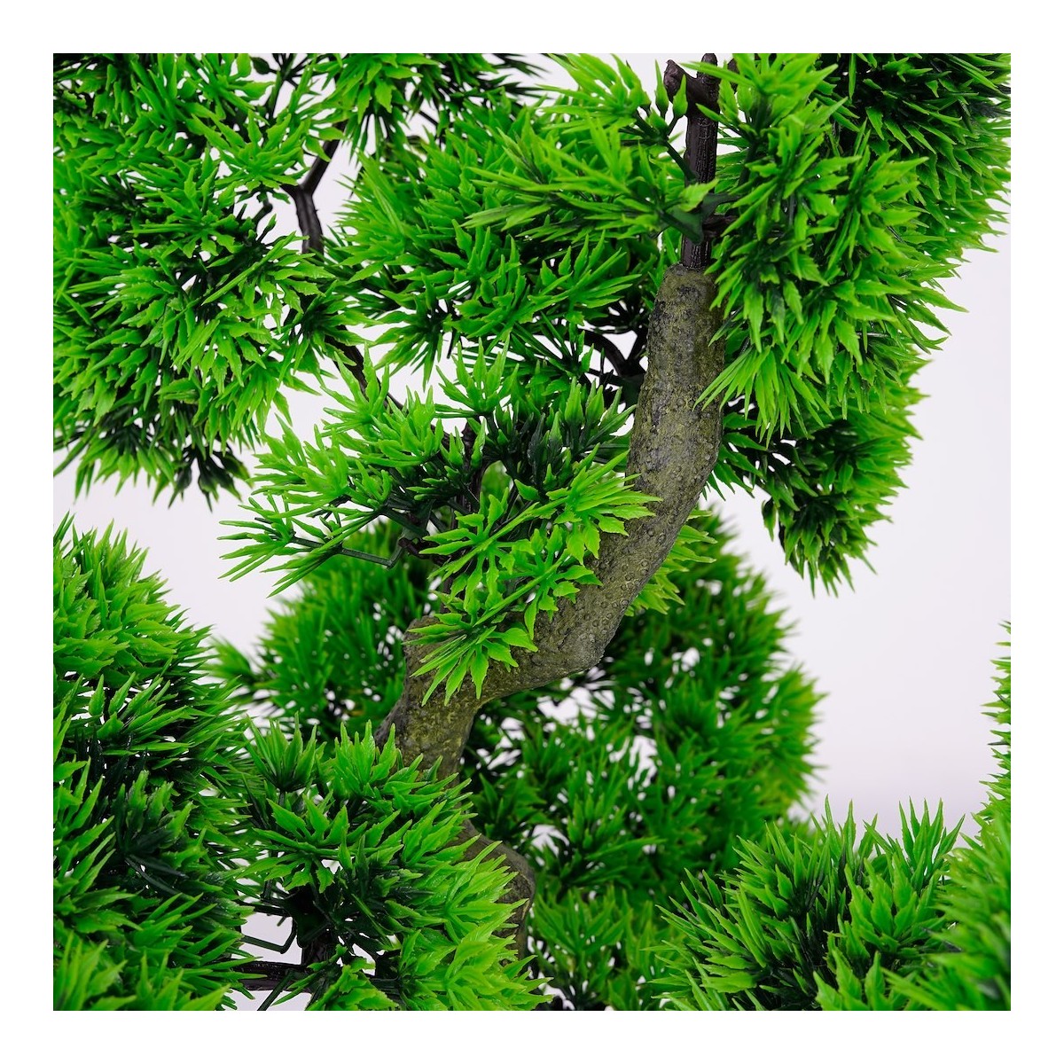 Roślina doniczkowa Bonsai 5210 60 cm