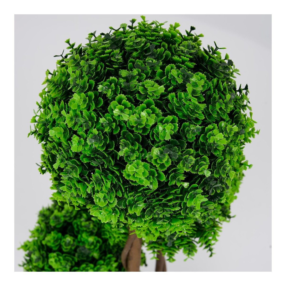 Roślina doniczkowa Drzewko topiary 5244 50 cm