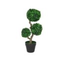Roślina doniczkowa Drzewko bukszpanowe 5279 55 cm