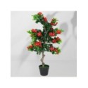 Roślina doniczkowa Drzewko hibiskusa 5350 90 cm