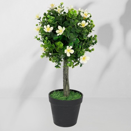 Roślina doniczkowa Drzewko bukszpanowe 5517 40 cm