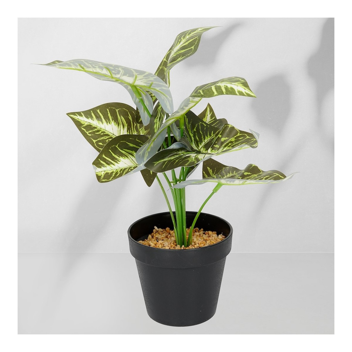 Roślina doniczkowa Maranta 6402 35 cm