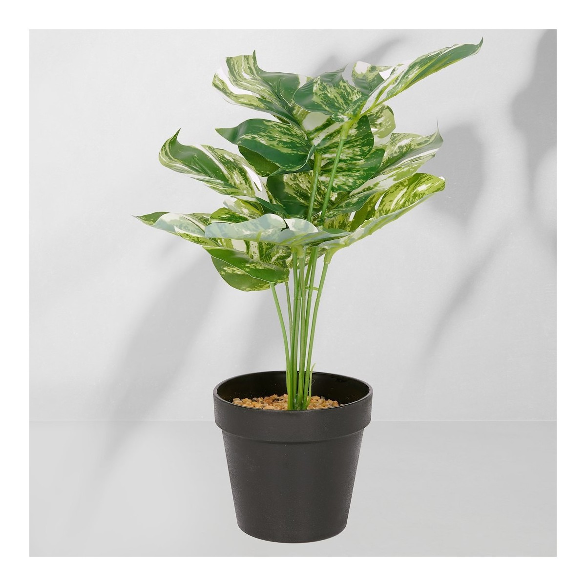 Roślina doniczkowa Monstera ciemna 6406 34 cm